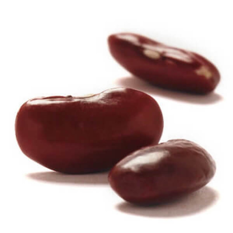 Kidney Red Beans Dried Whole Eclipse Certified Organic (500g)