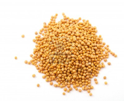 Mustard Seeds Yellow Gourmet Org. Herbs C. Organic (40g, sachet)